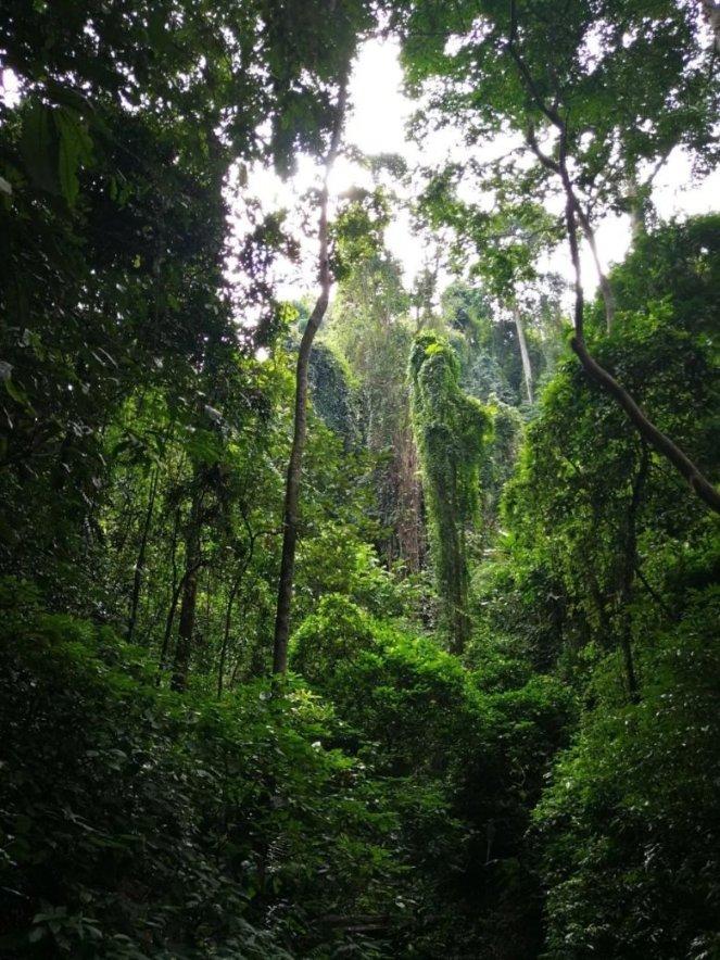 逃出平静乡村