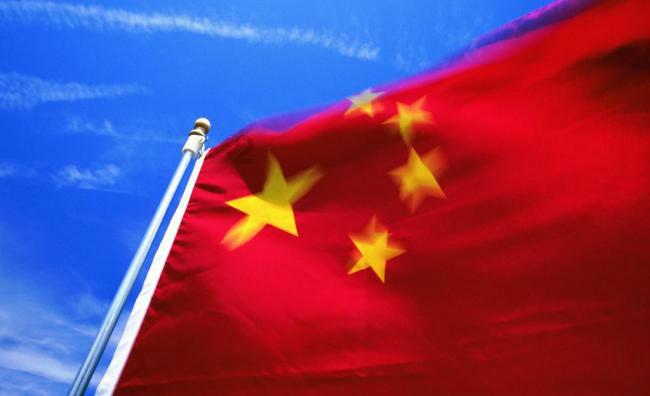 植物大战僵尸8
